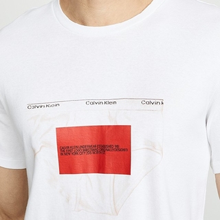 カルバンクライン(Calvin Klein)のカルバン・クライン T シャツ(Tシャツ/カットソー(半袖/袖なし))