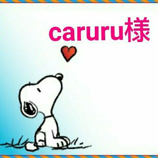 スヌーピー(SNOOPY)のcaruru様専用(キャラクターグッズ)