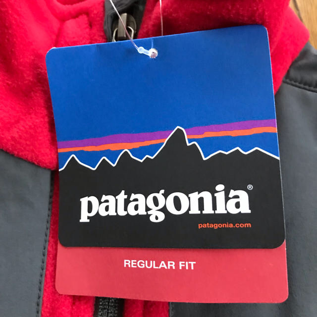 patagonia(パタゴニア)のパタゴニア フリースジャケット メンズのジャケット/アウター(ブルゾン)の商品写真