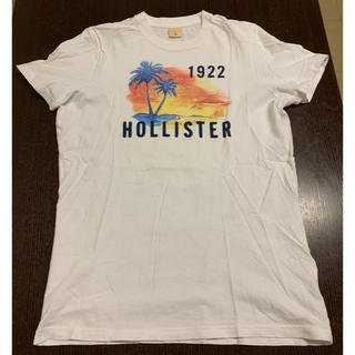 ホリスター(Hollister)のホリスター Tシャツ L サーフ(Tシャツ/カットソー(半袖/袖なし))