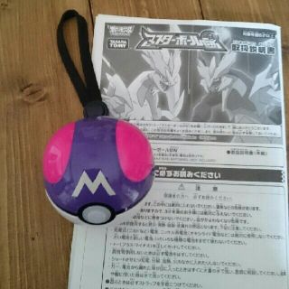 ポケモン(ポケモン)のぼり子様(その他)