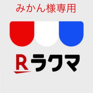 アツギ(Atsugi)のみかん様専用(タイツ/ストッキング)