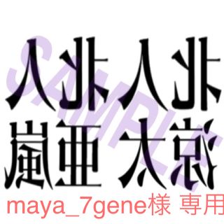 maya_7gene様 専用(その他)