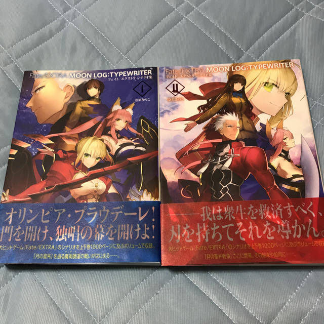 Fate/EXTRA MOON LOG:TYPEWRITER Ⅰ&Ⅱ エンタメ/ホビーの本(その他)の商品写真