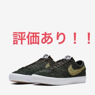 ステューシー(STUSSY)のSTUSSY TERPS Nike Blazer(スニーカー)