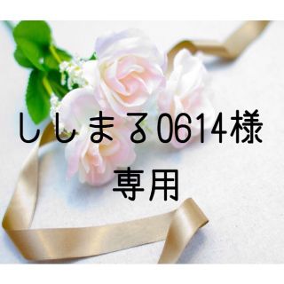 ししまる0614様専用  お米　H30　愛媛県産コシヒカリ　玄米　30㎏×２袋(米/穀物)