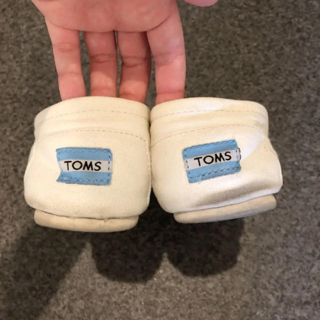 TOMS(トムズ)のTOMSトムズ☆キャンバススリッポン メンズの靴/シューズ(スリッポン/モカシン)の商品写真