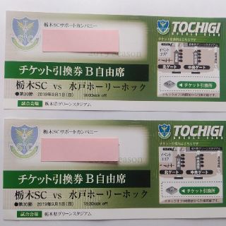 栃木SC vs 水戸　ペアチケット　B自由席　匿名配送(サッカー)