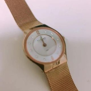 スカーゲン(SKAGEN)のスカーゲン(腕時計)