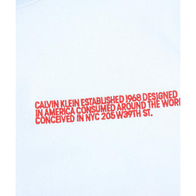 RAF SIMONS(ラフシモンズ)の良い評価100記念！　calvin klein 205w39nyc  メンズのトップス(Tシャツ/カットソー(半袖/袖なし))の商品写真