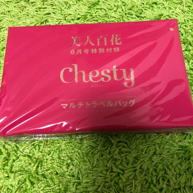 Chesty(チェスティ)のchestyマルチトラベルバッグ 付録 レディースのバッグ(その他)の商品写真