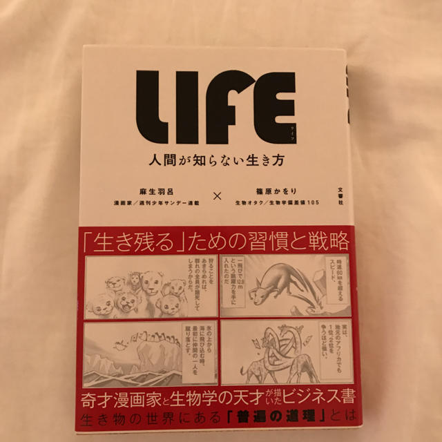 LIFE ‹ ライフ ›  人間が知らない生き方 エンタメ/ホビーの雑誌(アート/エンタメ/ホビー)の商品写真