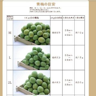 青梅 無農薬 大玉 2L～3L 1キロ以上 梅干し 梅シロップ 梅ジュース