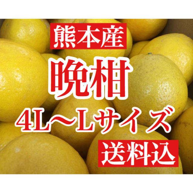 熊本産 河内晩柑(ジューシーオレンジ)  家庭用10キロ L〜4Lサイズ 送料込 食品/飲料/酒の食品(フルーツ)の商品写真