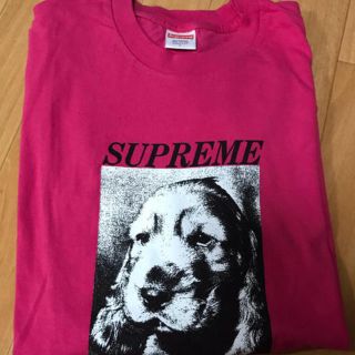 シュプリーム(Supreme)の本物 ★ supreme ロゴ tシャツ バックパック スニーカー capbag(Tシャツ/カットソー(半袖/袖なし))