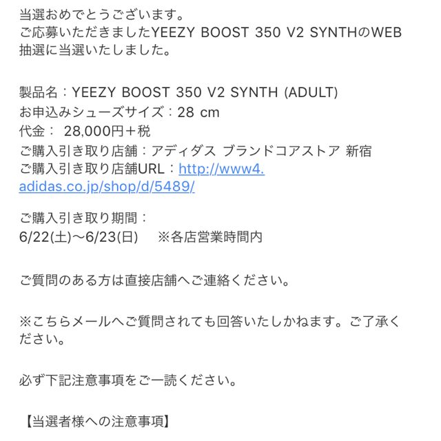 28.0cm yeezy boost 350 V2 SYNTH