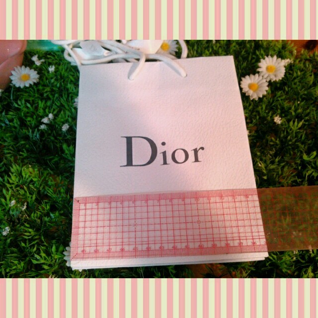 Dior(ディオール)のDiorショッパー コスメ/美容のコスメ/美容 その他(その他)の商品写真