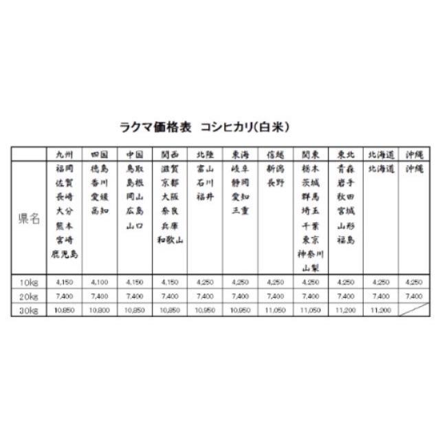 すいか様専用 お米　H30　愛媛県産コシヒカリ　白米　5㎏ 食品/飲料/酒の食品(米/穀物)の商品写真