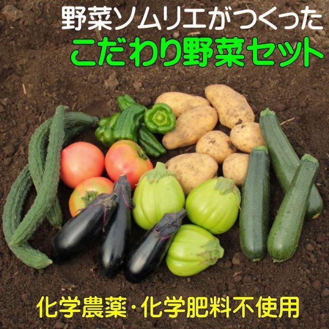 野菜詰め合わせ～夏～【4.5kg】 食品/飲料/酒の食品(野菜)の商品写真