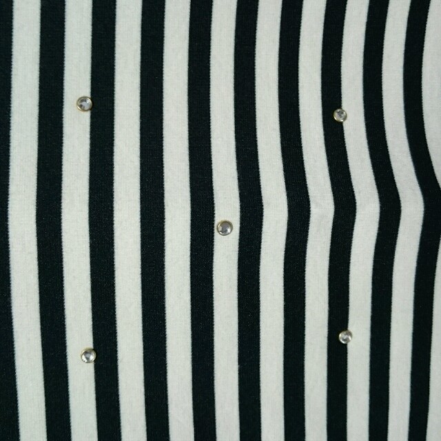 anyFAM(エニィファム)のボーダー クロップド丈 トップス レディースのトップス(Tシャツ(半袖/袖なし))の商品写真