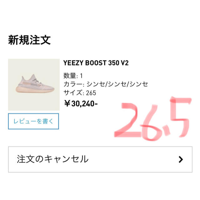 adidas(アディダス)のYEEZY BOOST 350 V2 SYNTH メンズの靴/シューズ(スニーカー)の商品写真