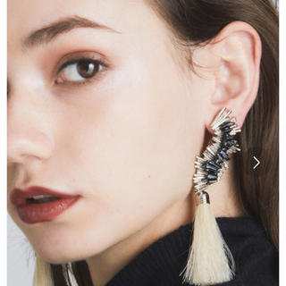 トーガ(TOGA)の値下げ↓TOGA PULLA Metal fringe earrings (イヤリング)