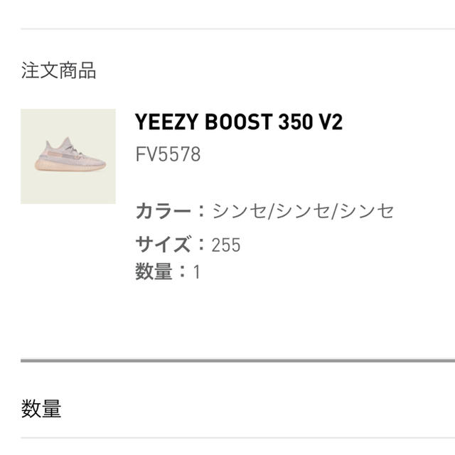 adidas(アディダス)のYEEZY BOOST 350 V2 SYNTH 25.5cm メンズの靴/シューズ(スニーカー)の商品写真