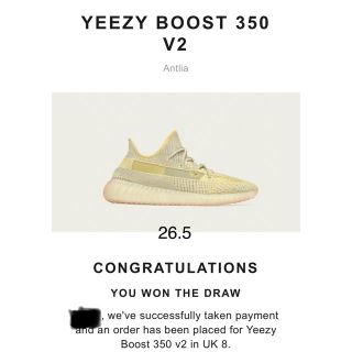 アディダス(adidas)のyangyang様専用adidas YEEZYBOOST350v2 Antlia(スニーカー)