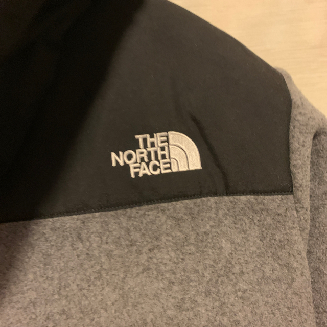 THE NORTH FACE(ザノースフェイス)のノースフェイス デナリーフーディー メンズのトップス(パーカー)の商品写真