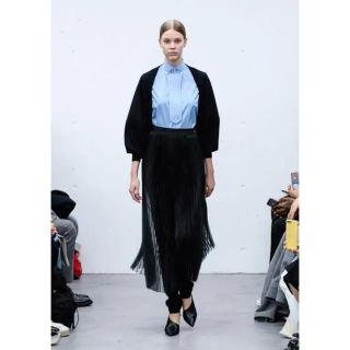ハイク ロングスカート/マキシスカートオーガンジーの通販 8点