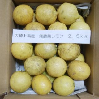 大崎上島産　無農薬レモン　2.5kg(フルーツ)