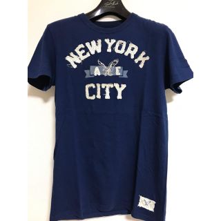 アメリカンイーグル(American Eagle)のアメリカンイーグルTシャツ(Tシャツ/カットソー(半袖/袖なし))