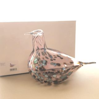 イッタラ(iittala)の*在庫1* iittala Reed Warbler 2014年 バード 箱あり(置物)