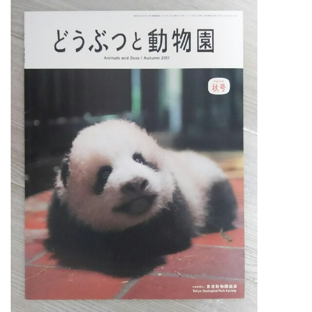 どうぶつと動物園  2017年･秋号 エンタメ/ホビーの雑誌(その他)の商品写真