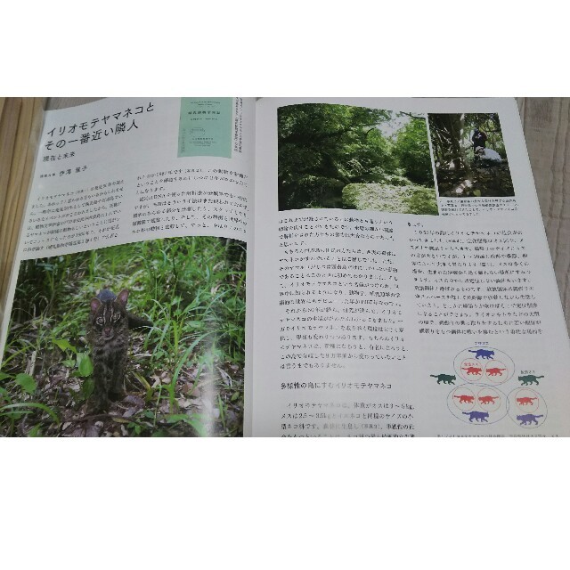 どうぶつと動物園  2017年･秋号 エンタメ/ホビーの雑誌(その他)の商品写真