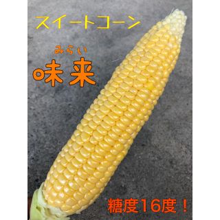 朝どりトウモロコシ【味来】5kg(野菜)