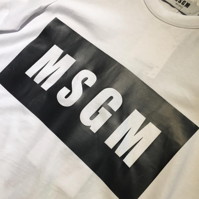 MSGM(エムエスジイエム)のMSGM エムエスジーエム 新品 ボックス ロゴ Tシャツ ホワイト レディースのトップス(Tシャツ(半袖/袖なし))の商品写真
