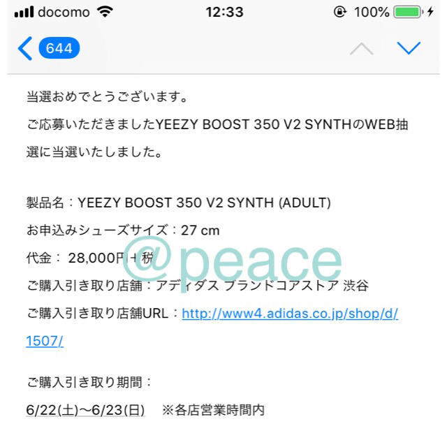 ADIDAS YEEZY BOOST 350 V2 SYNTH 27cm