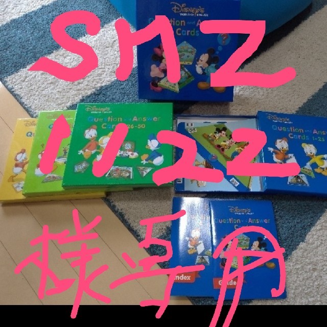 DWE Question and Answer Cards キッズ/ベビー/マタニティのおもちゃ(知育玩具)の商品写真