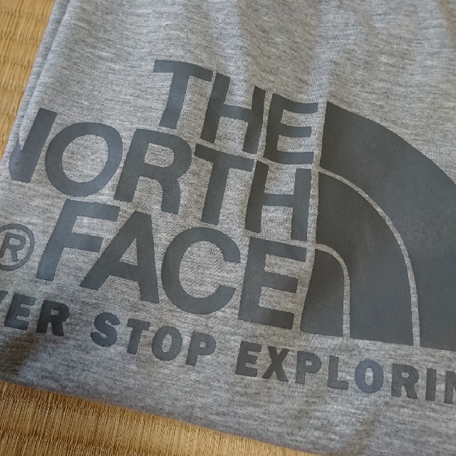 THE NORTH FACE(ザノースフェイス)のTHE NORTH FACE 半袖Tシャツ Lサイズ メンズのトップス(Tシャツ/カットソー(半袖/袖なし))の商品写真