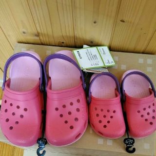 クロックス(crocs)の新品★クロックス　ピンク＆パープル　15.5(サンダル)