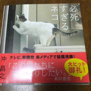 必死すぎるネコ(ノンフィクション/教養)