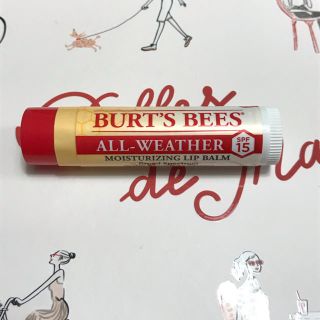 バーツビーズ(BURT'S BEES)のリップクリーム(リップケア/リップクリーム)