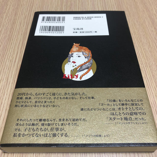 Lily(リリイ)のここからは、オトナのはなし 平成の東京、30代の女、結婚と離婚 エンタメ/ホビーの本(ノンフィクション/教養)の商品写真