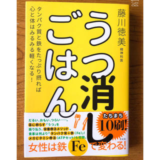 うつ消しごはん 藤川徳美(健康/医学)