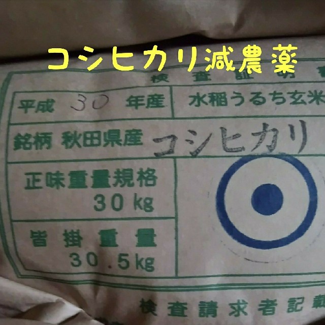 コシヒカリ玄米24.5キロ減農薬米/穀物