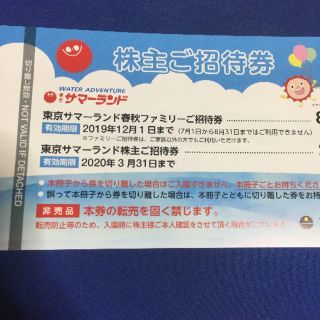 東京都競馬　サマーランド　株主優待券　1冊　+　大井競馬場　株主優待証　1枚(その他)