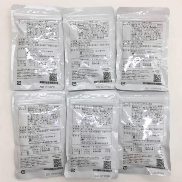 【特売セール】ブレッシュ 口臭ケアサプリ Breash 6袋セット コスメ/美容のオーラルケア(口臭防止/エチケット用品)の商品写真