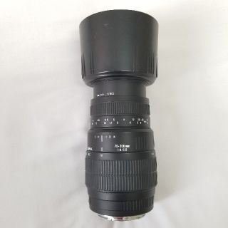 シグマ(SIGMA)の【現状渡し】Sigma シグマ 70-300 mm 1:4-5.6 Cannon(レンズ(ズーム))