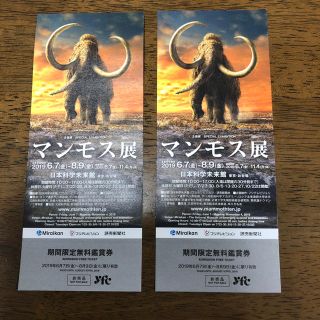 マンモス展  無料鑑賞券 2枚セット(美術館/博物館)